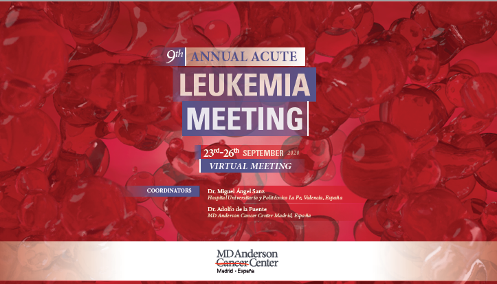 9th-annual-acute-leukemia-meeting